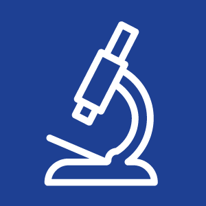 Flow 3 – Scientific-exchange-meeting
